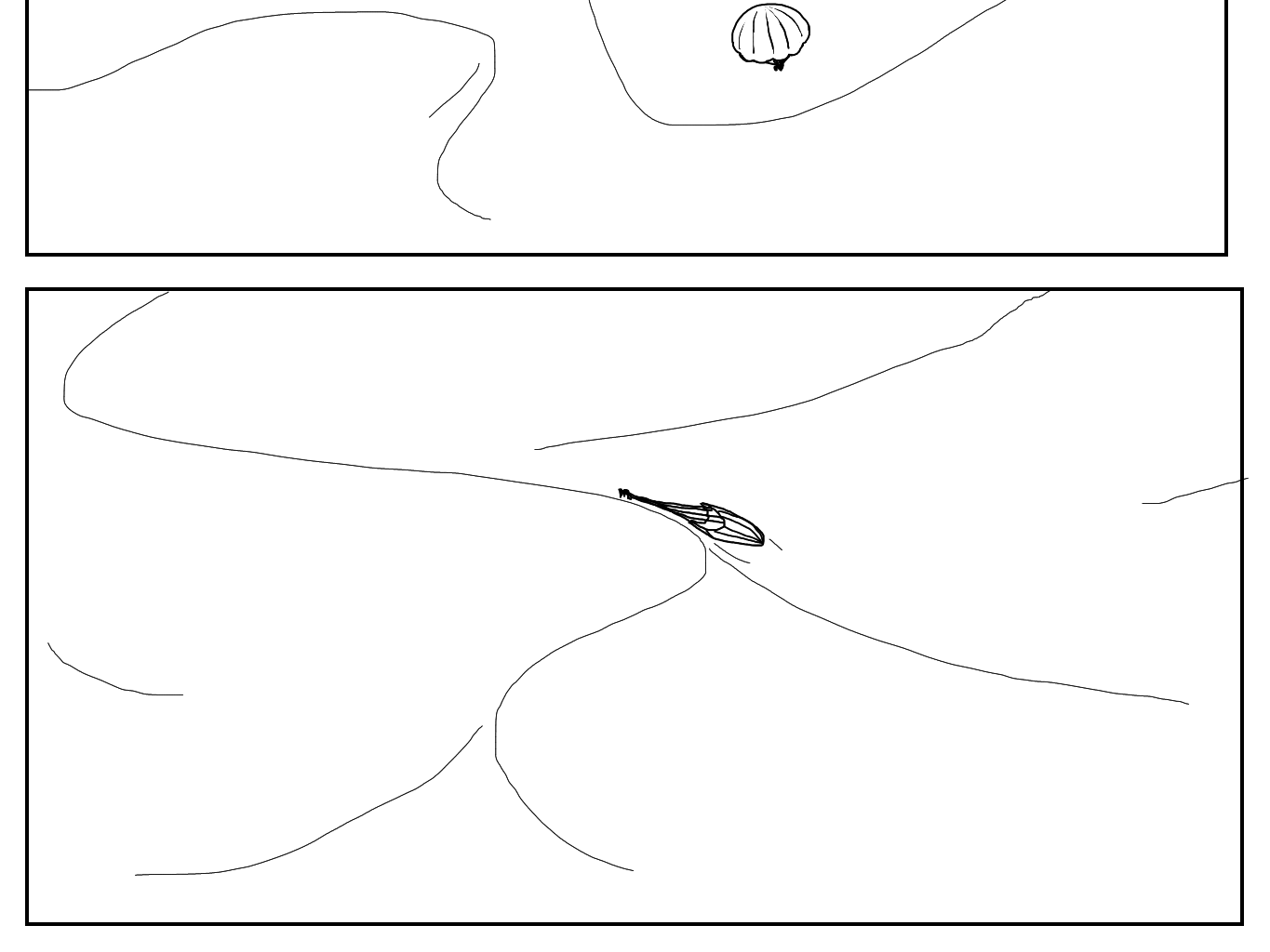 Image 2 Cut