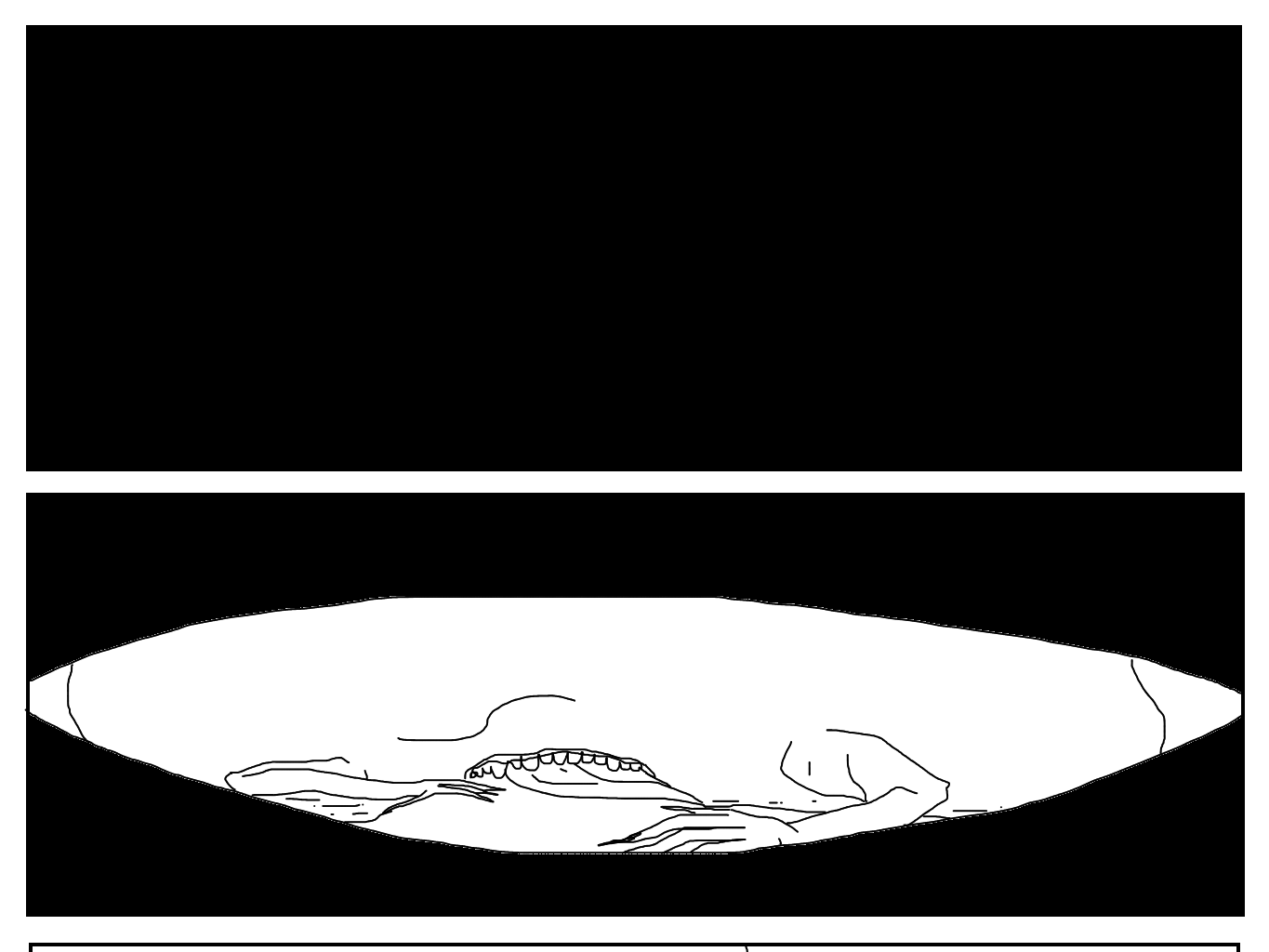 Image 1 Cut