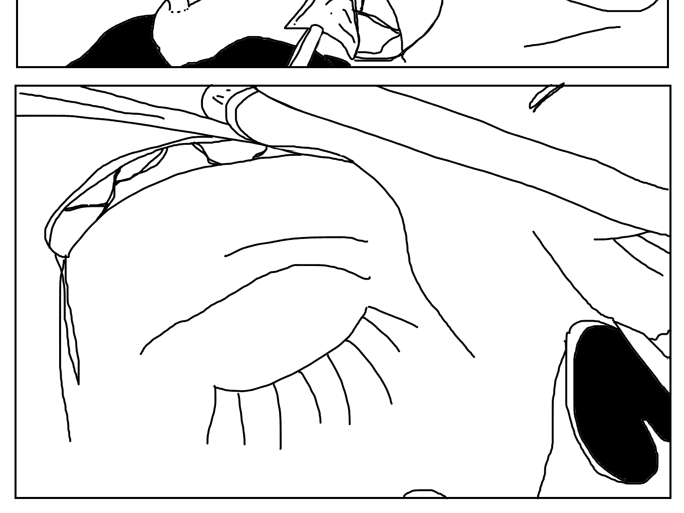 Image 2 Cut