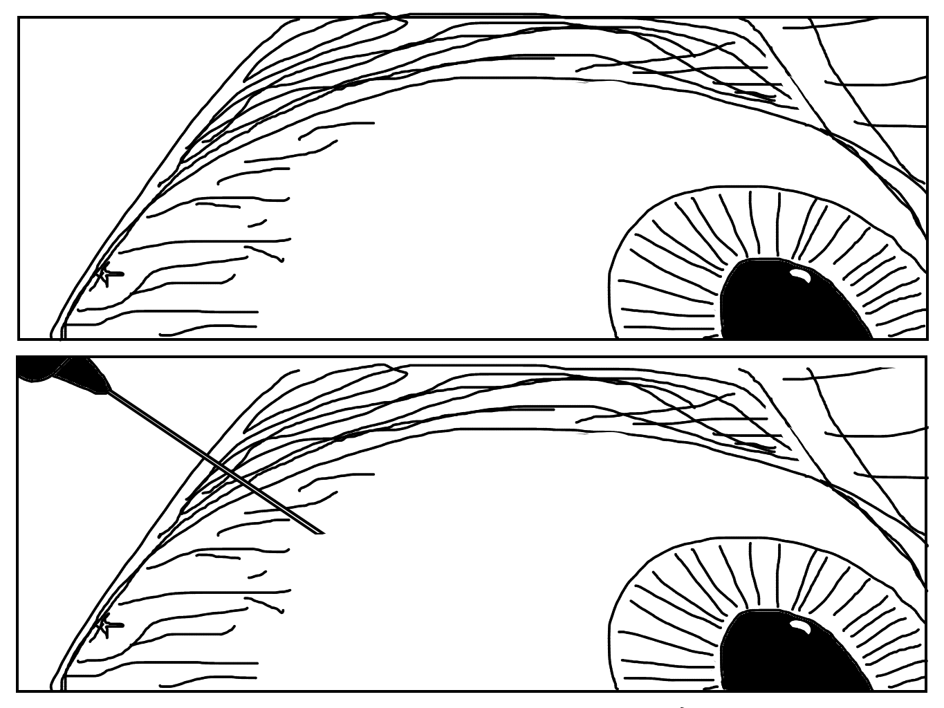 Image 1 Cut