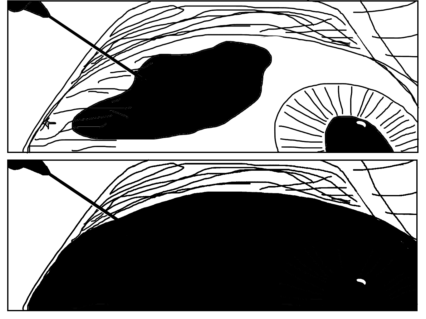 Image 2 Cut