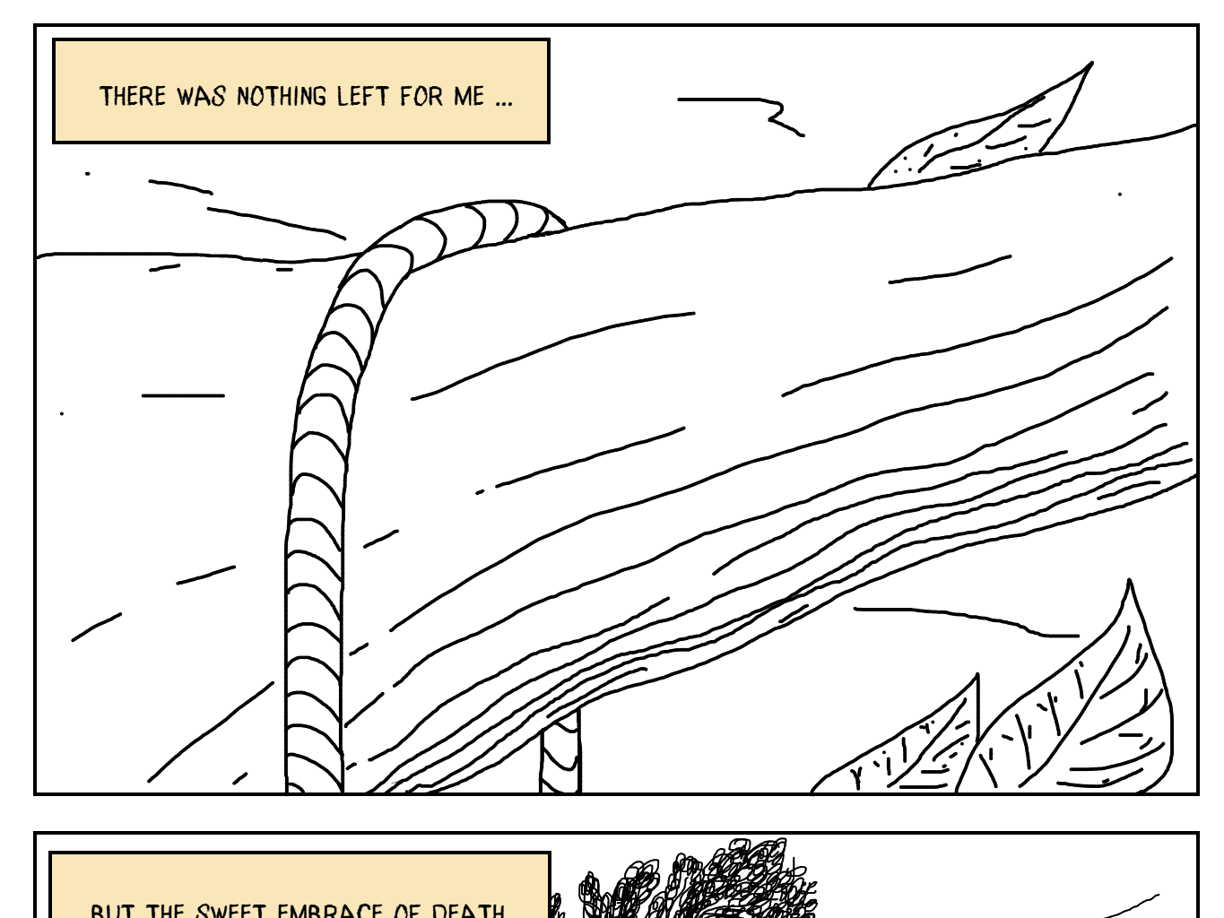 Image 1 Cut