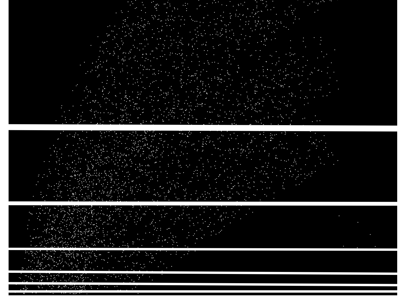 Image 2 Cut