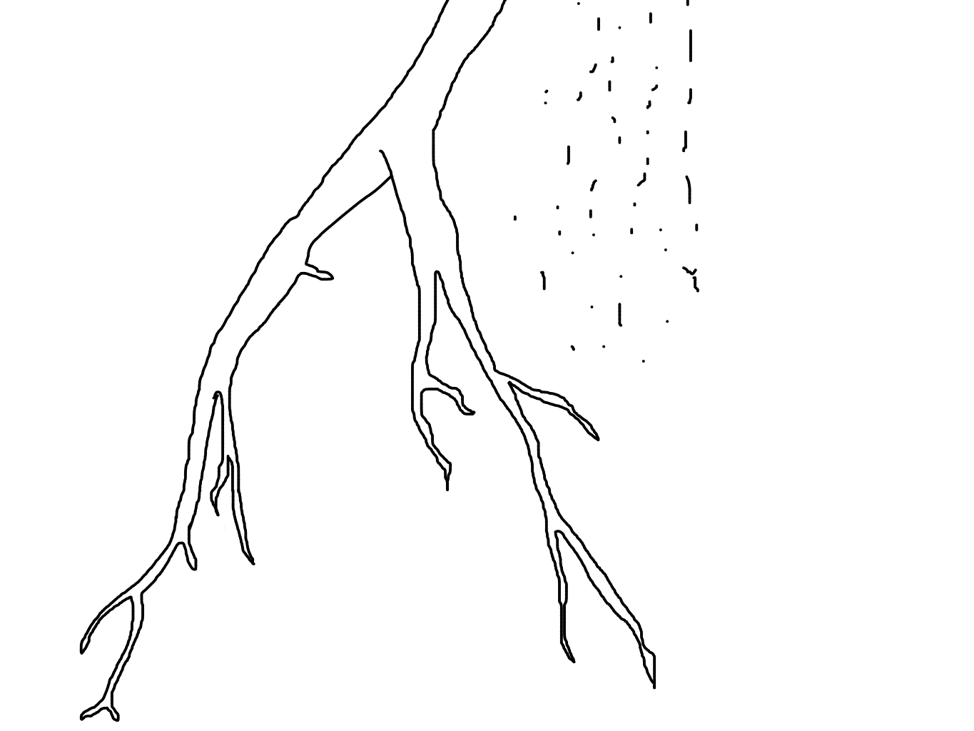 Image 2 Cut