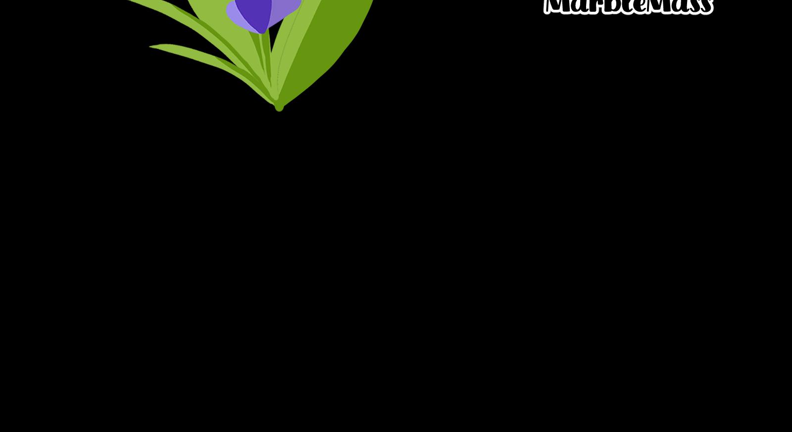 Image 6 Cut