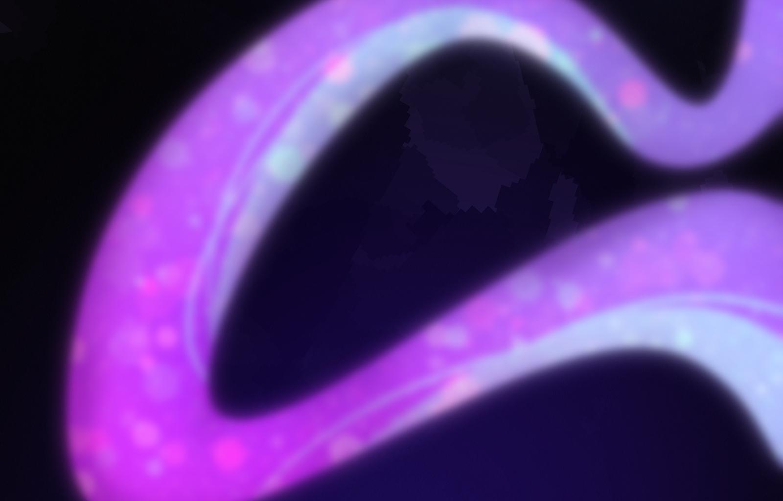 Image 4 Cut
