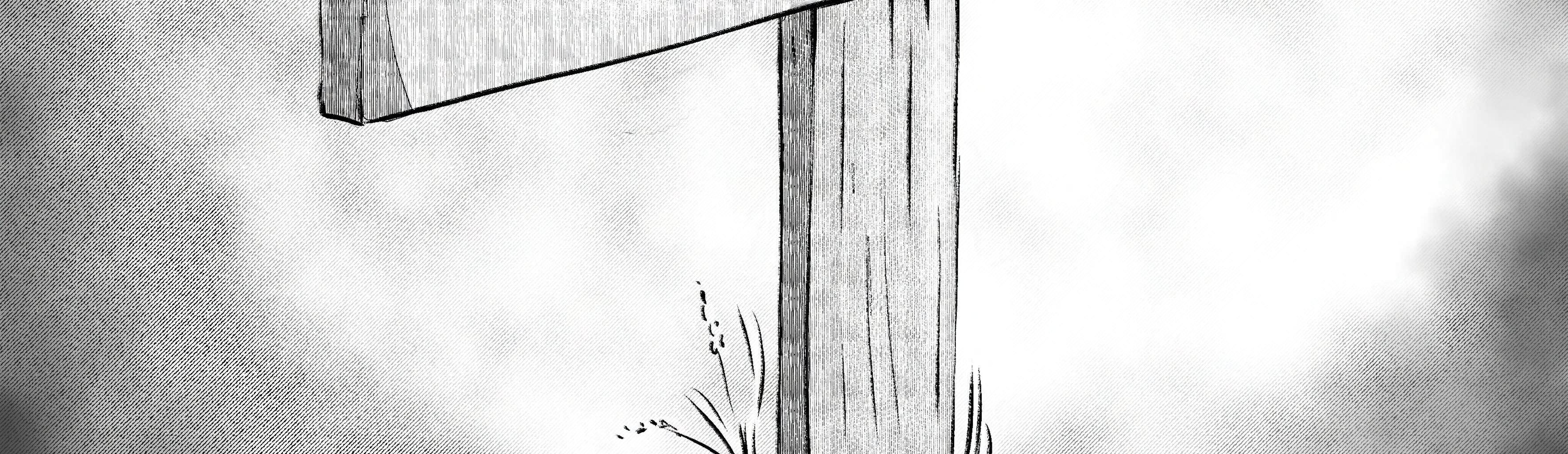 Image 4 Cut