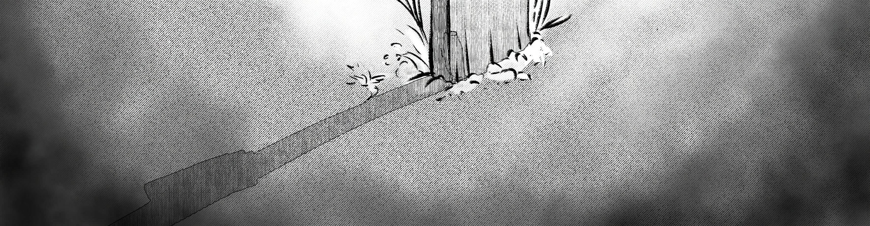 Image 5 Cut