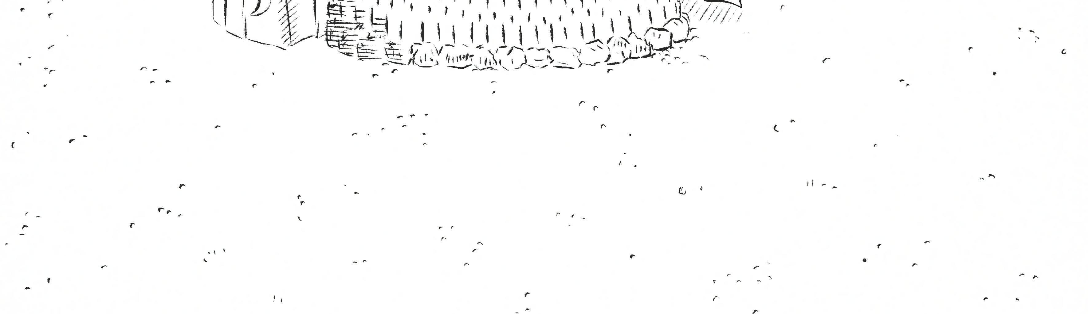 Image 4 Cut