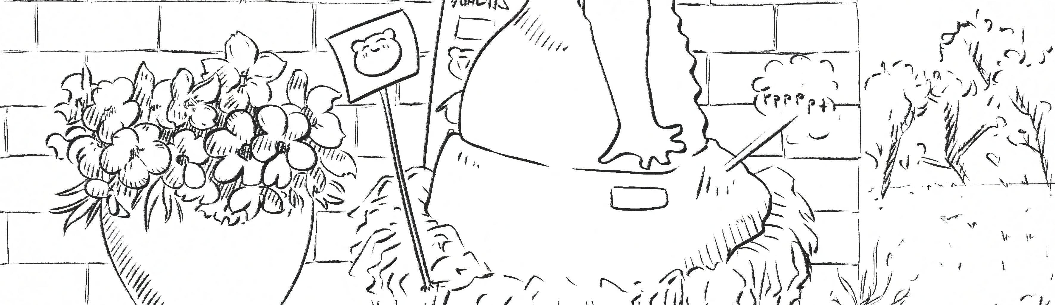 Image 4 Cut