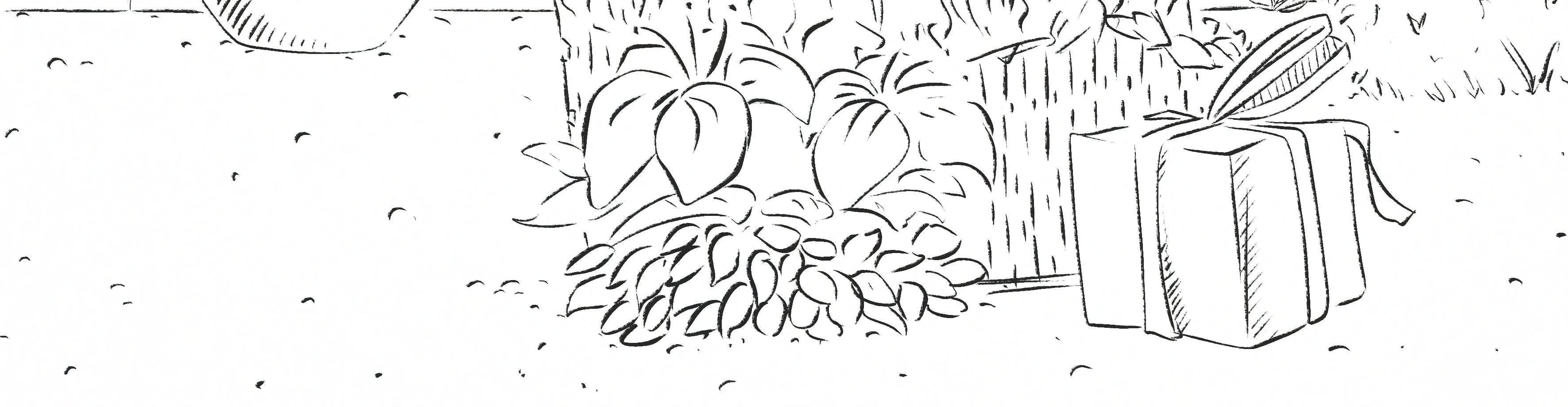 Image 5 Cut