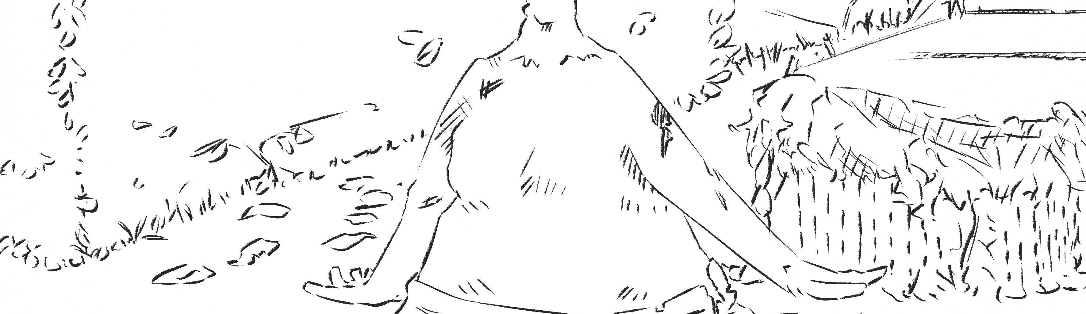 Image 4 Cut