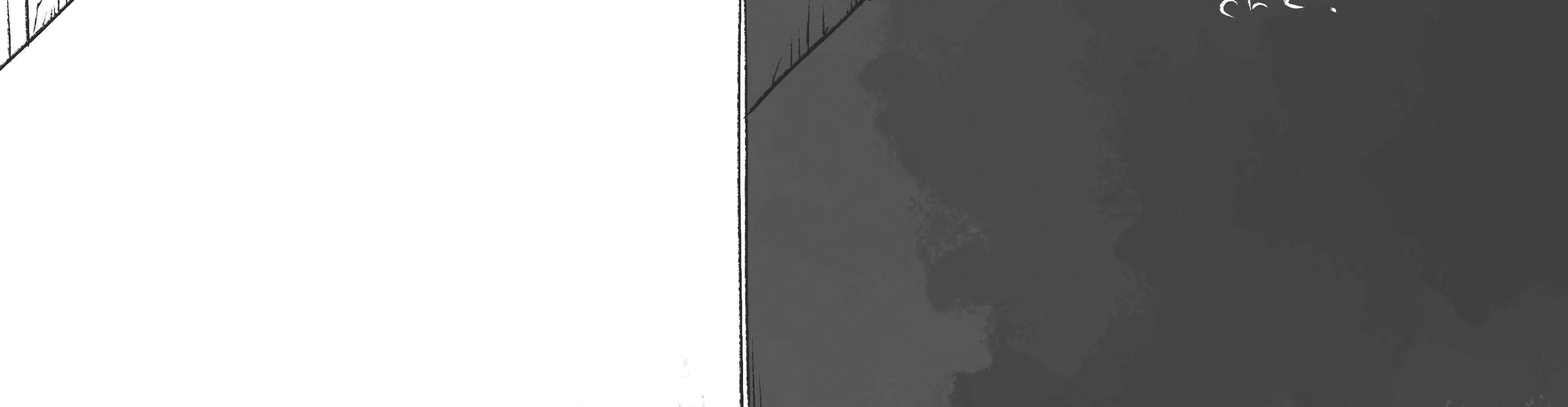 Image 5 Cut