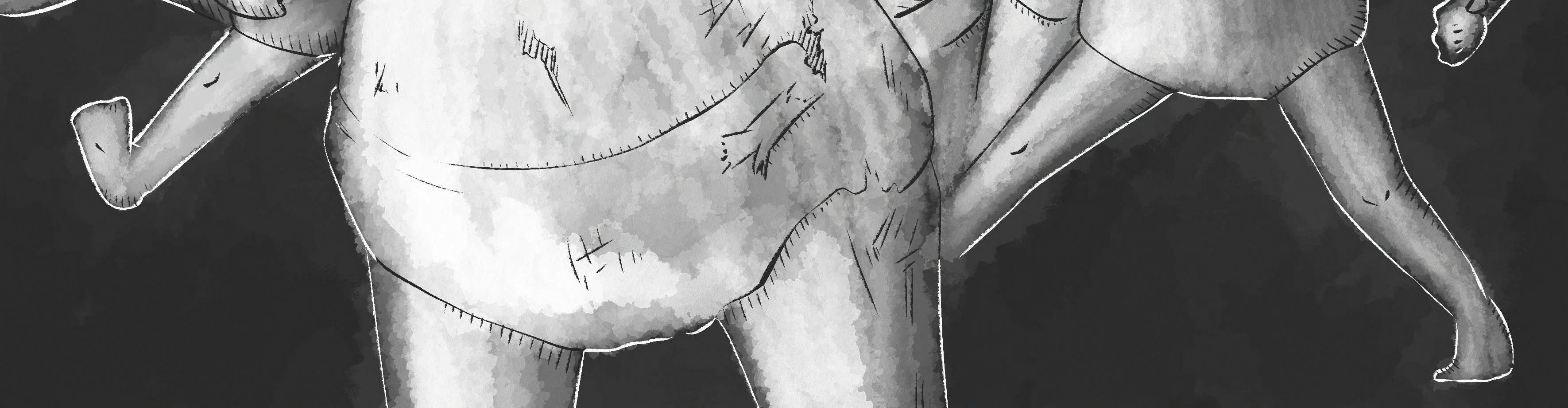 Image 5 Cut
