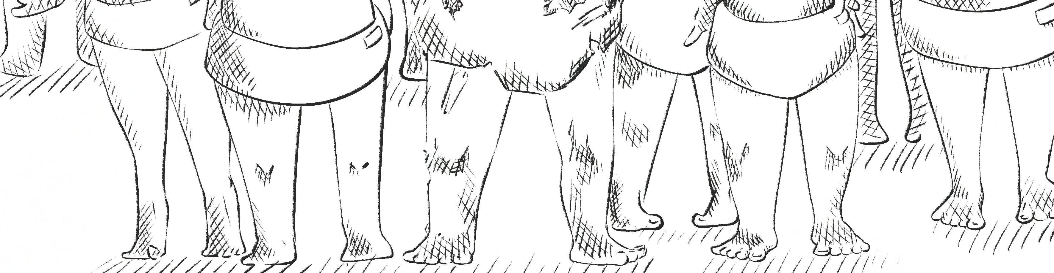 Image 5 Cut