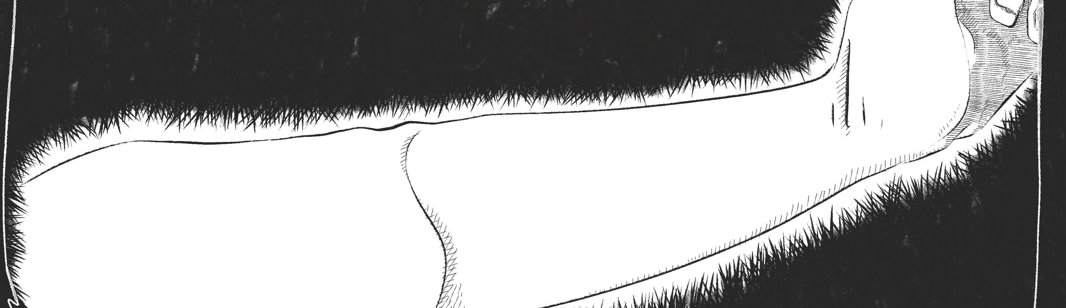 Image 4 Cut