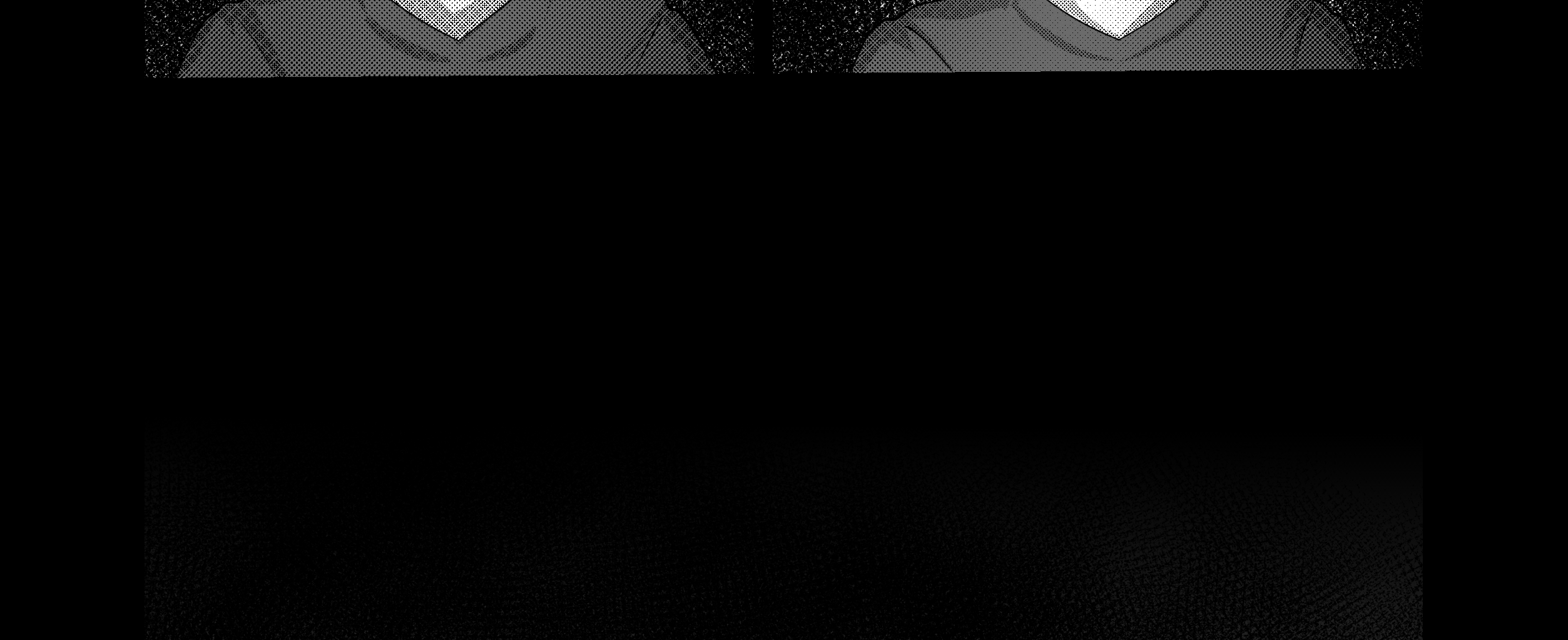 Image 2 Cut
