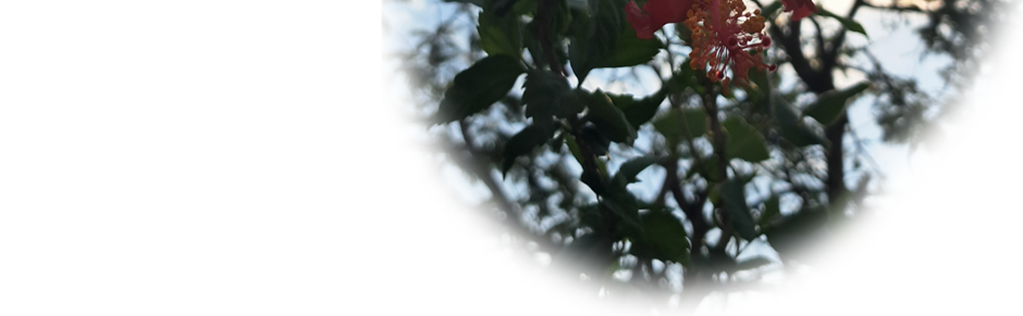 World of Letters - Episode 8, Page 10: Second Release-versary