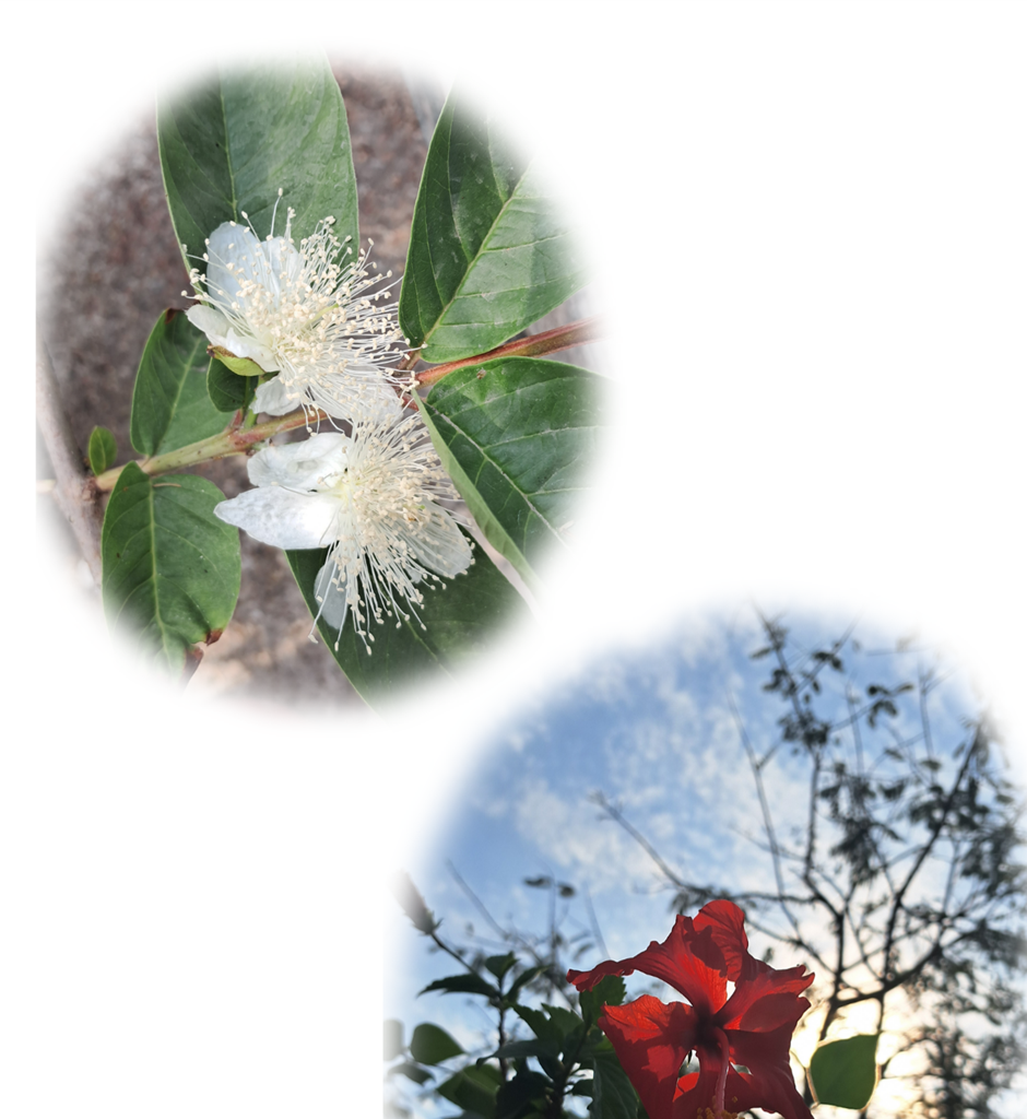 World of Letters - Episode 8, Page 10: Second Release-versary