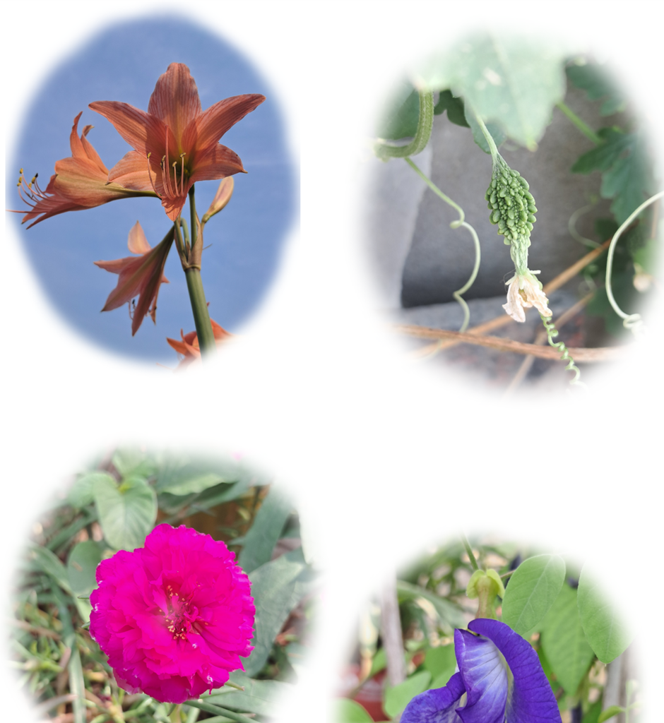 World of Letters - Episode 8, Page 11: Second Release-versary