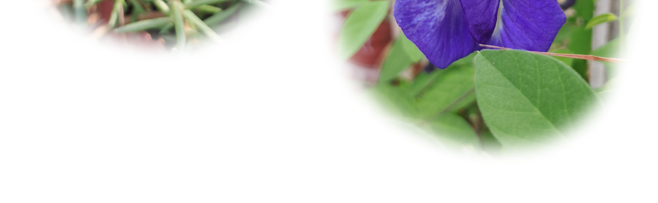 World of Letters - Episode 8, Page 11: Second Release-versary