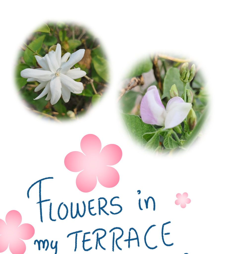 World of Letters - Episode 8, Page 12: Second Release-versary