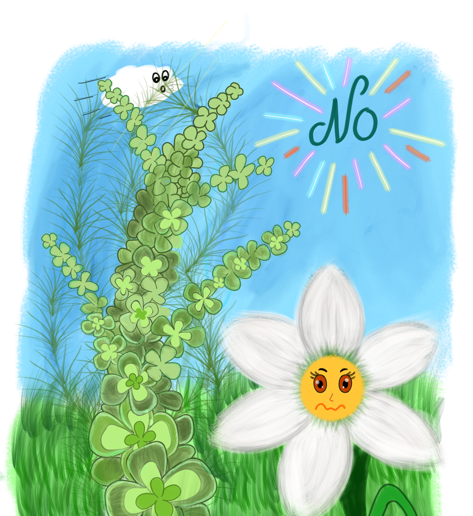 Into the Woods - Episode 11, Page 2: No