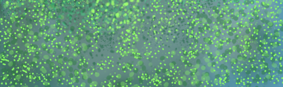 Into the Woods - Episode 24, Page 2: Meeting