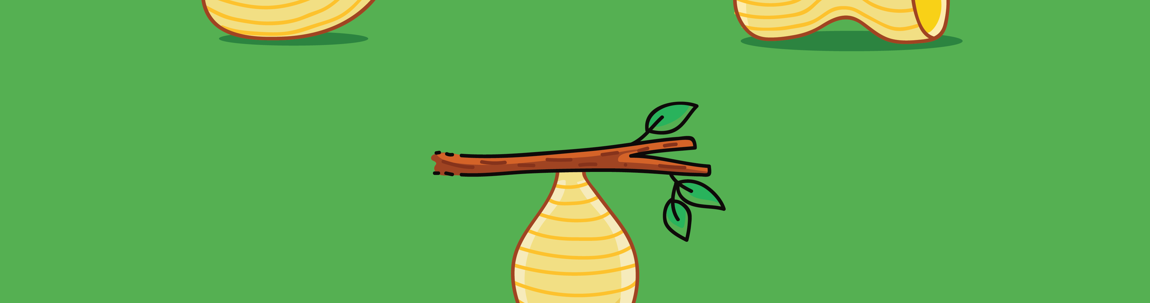 Wawawiwa Comics - Episode 12, Page 1: Life cycle of pasta