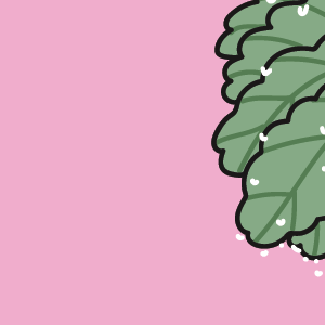  - Episode 28: Adulting