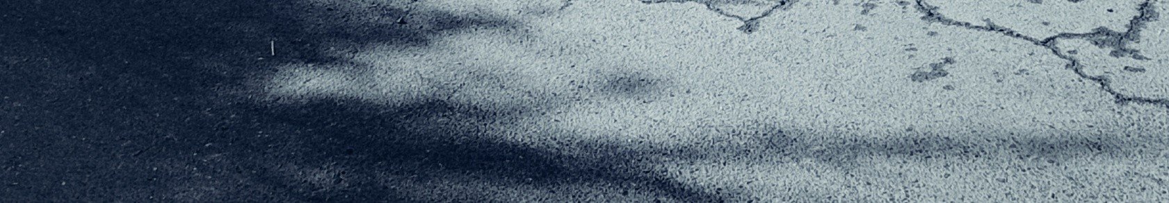 The monster journal - Episode 3, Page 1: The mermaid pond
