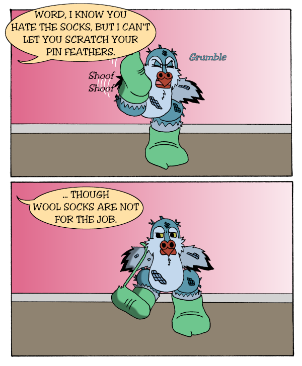 Word is the Bird - Episode 59, Page 1: 14-SockItToMe