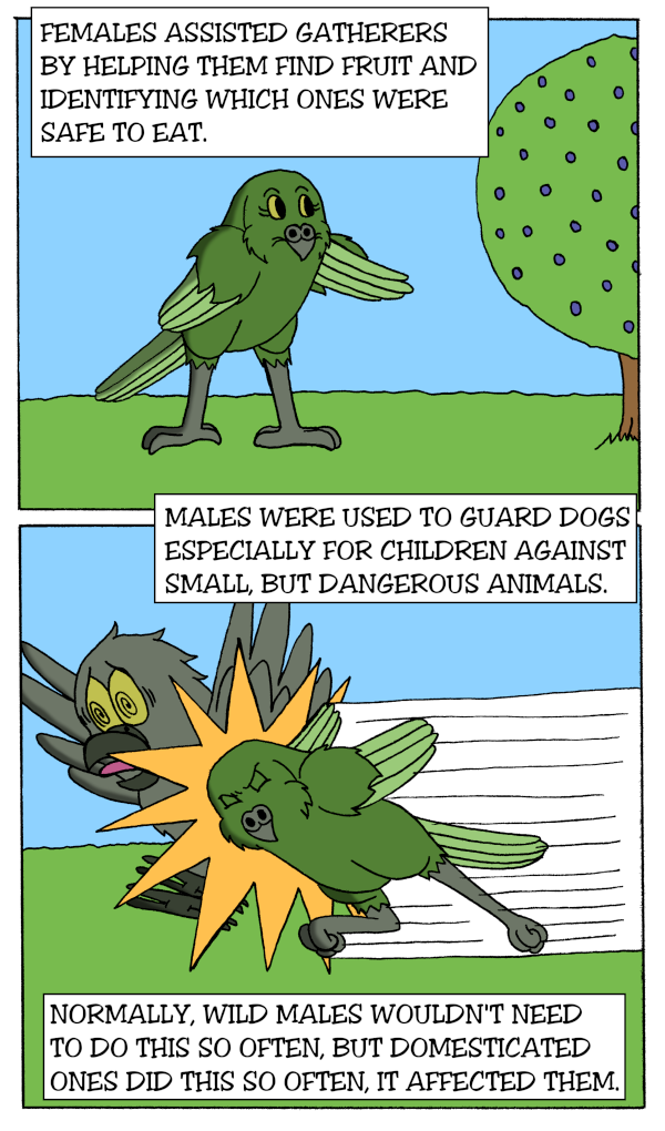 Word is the Bird - Episode 64, Page 1: 18-HistoryOfTheKakapo-3