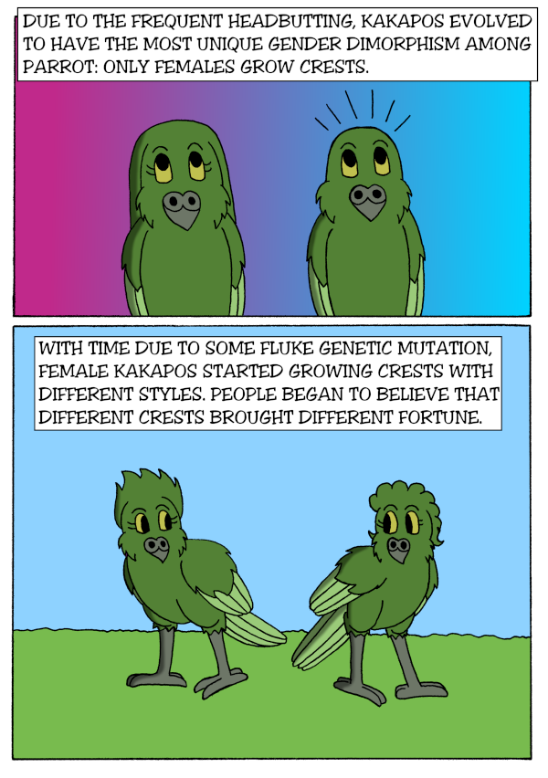 Word is the Bird - Episode 65, Page 1: 18-HistoryOfTheKakapo-4