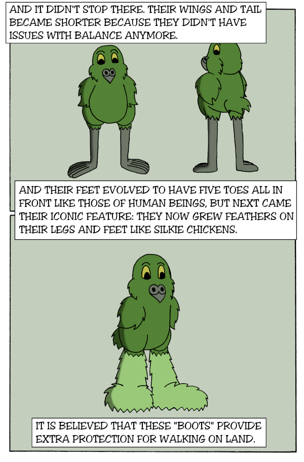 Word is the Bird - Episode 67, Page 1: 18-HistoryOfTheKakapo-6
