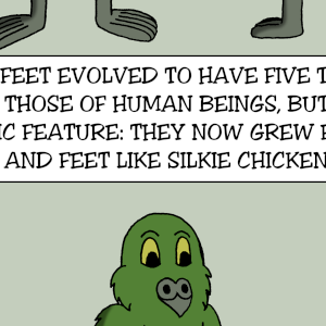  - Episode 67: 18-HistoryOfTheKakapo-6