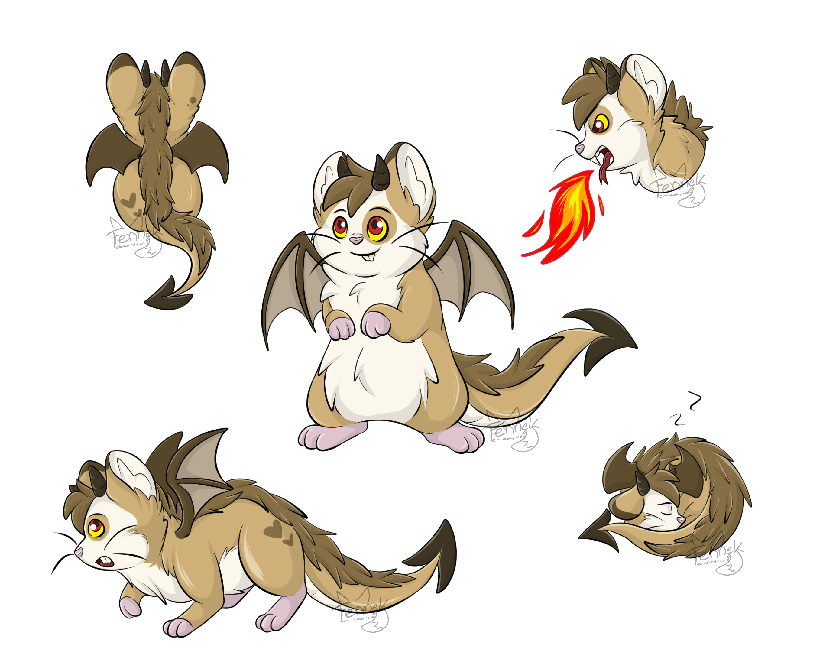 Reference Sheet